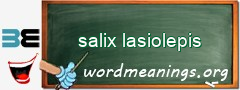 WordMeaning blackboard for salix lasiolepis